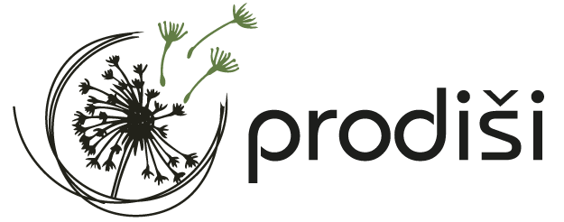 Prodisi